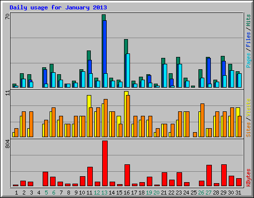 Daily usage for January 2013