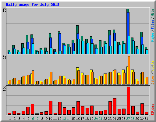 Daily usage for July 2013