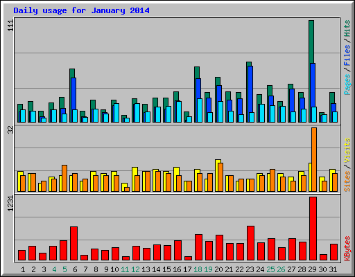 Daily usage for January 2014