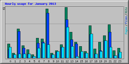 Hourly usage for January 2013