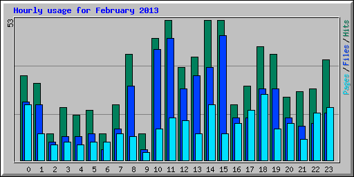 Hourly usage for February 2013